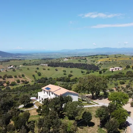Casale Oleo *